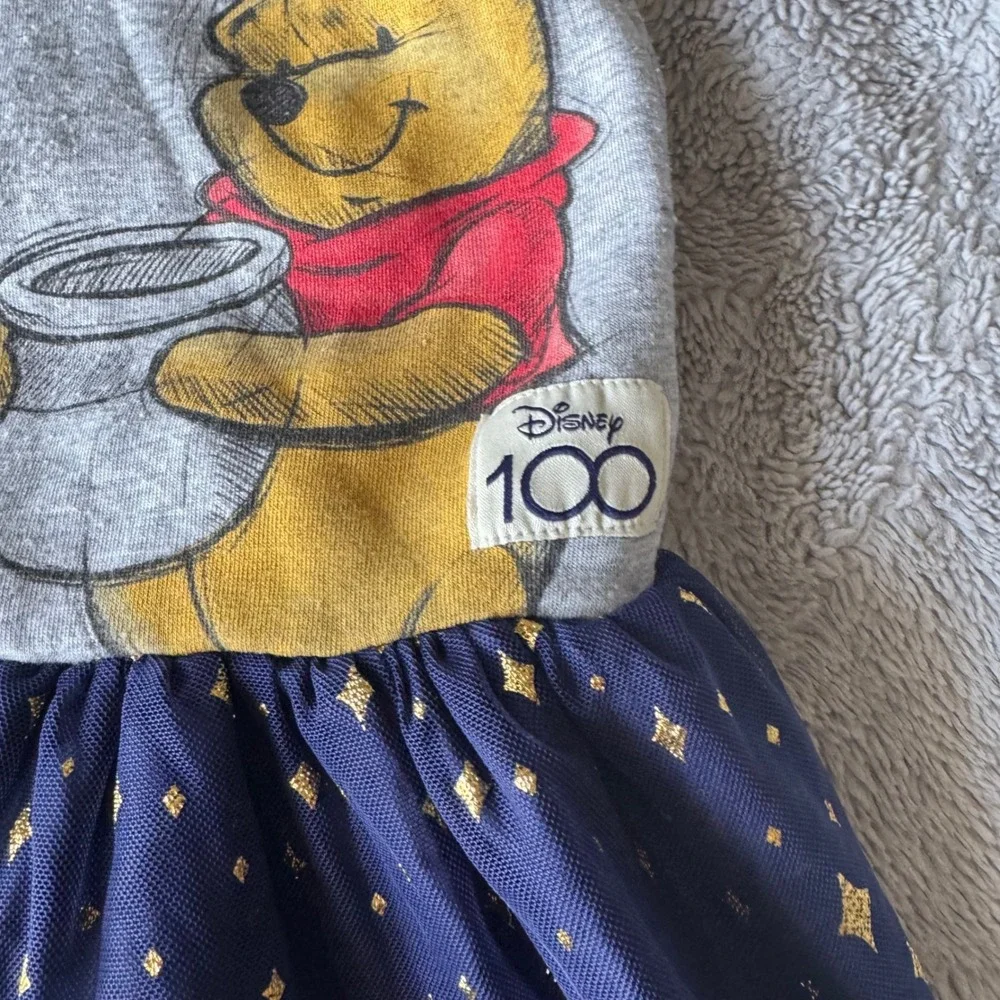 Disney 100‎ Anniversary Hoodie Tulle Dress Girls 10/12 Minnie Pooh Ears